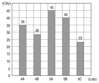 Biểu đồ số cây khối lớp 4 và lớp 5