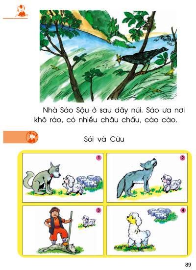 Bài 43: Ôn tập