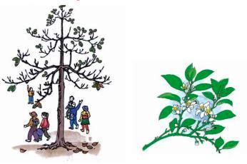 Bài 57: ang- anh