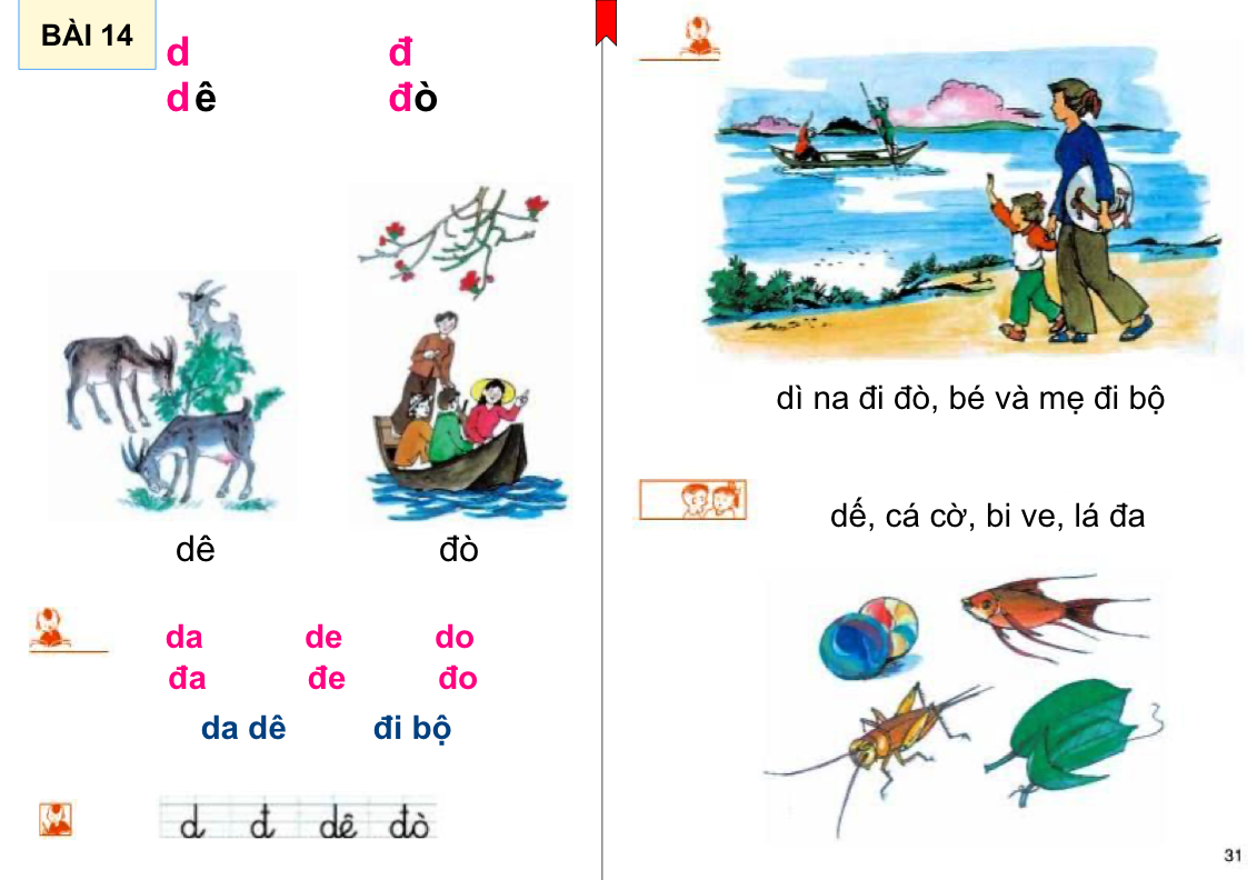 Bài 14: d-đ