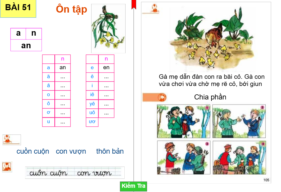 Bài 51: Ôn tập