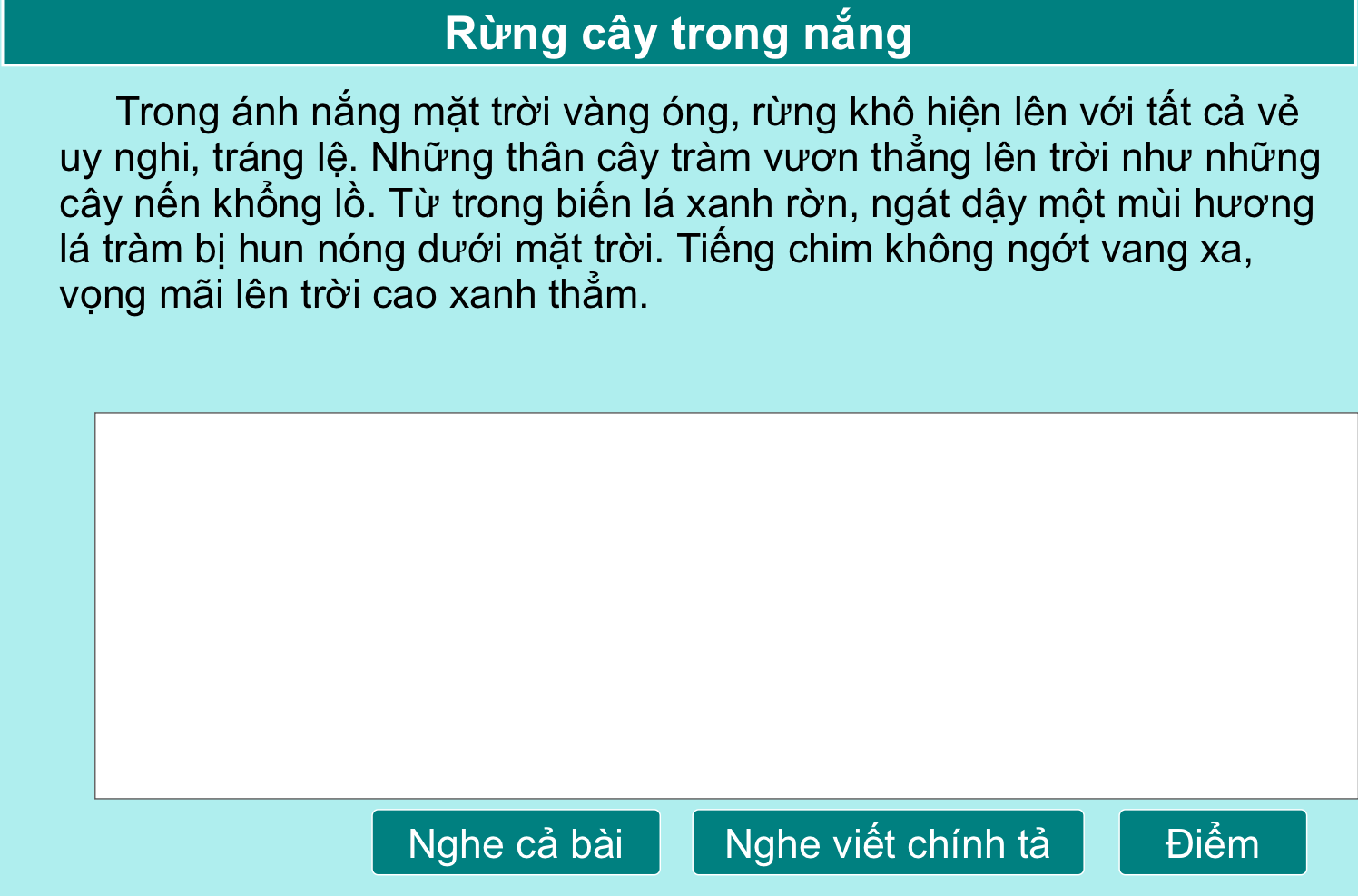 Rừng cây trong nắng
