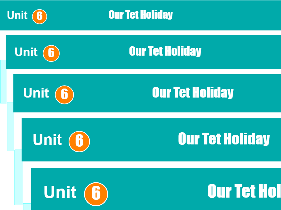 Unit 6: Our Tet Holiday