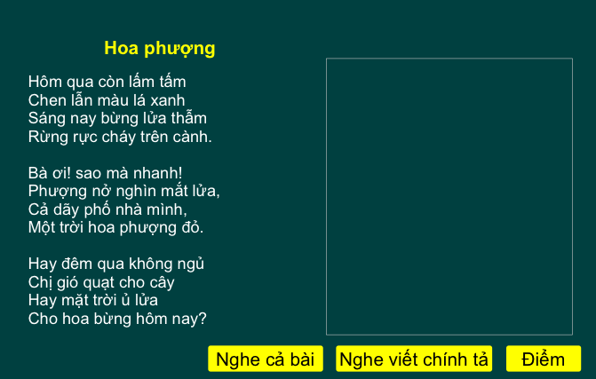 Tuần 29: Hoa phượng