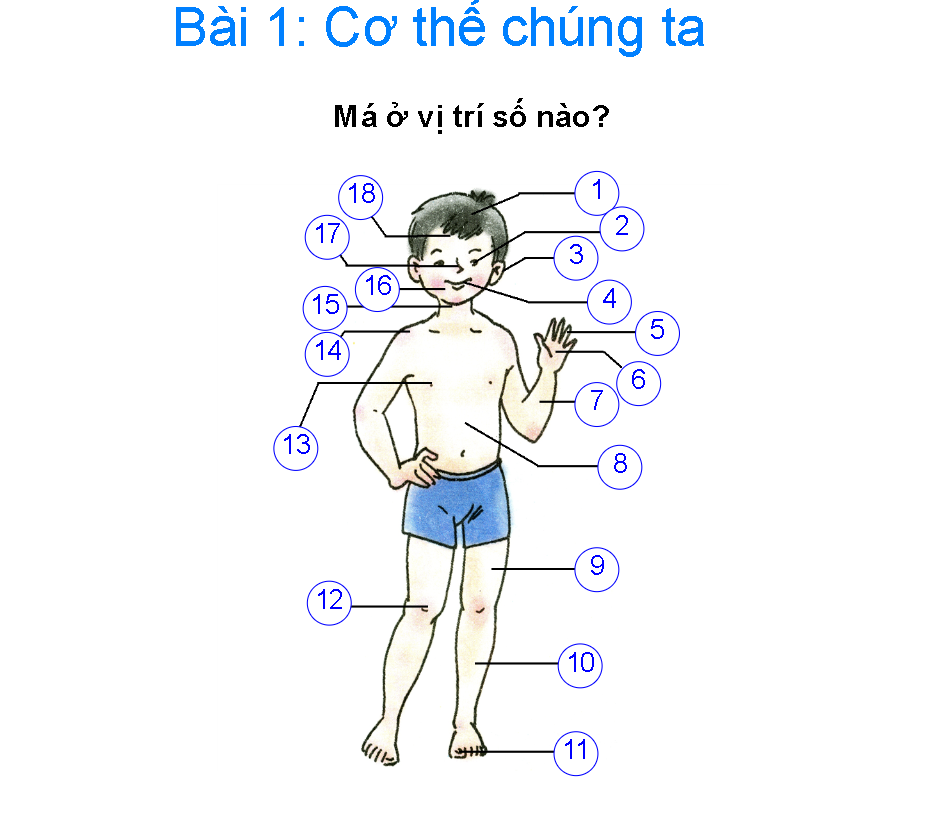 Cơ thể chúng ta