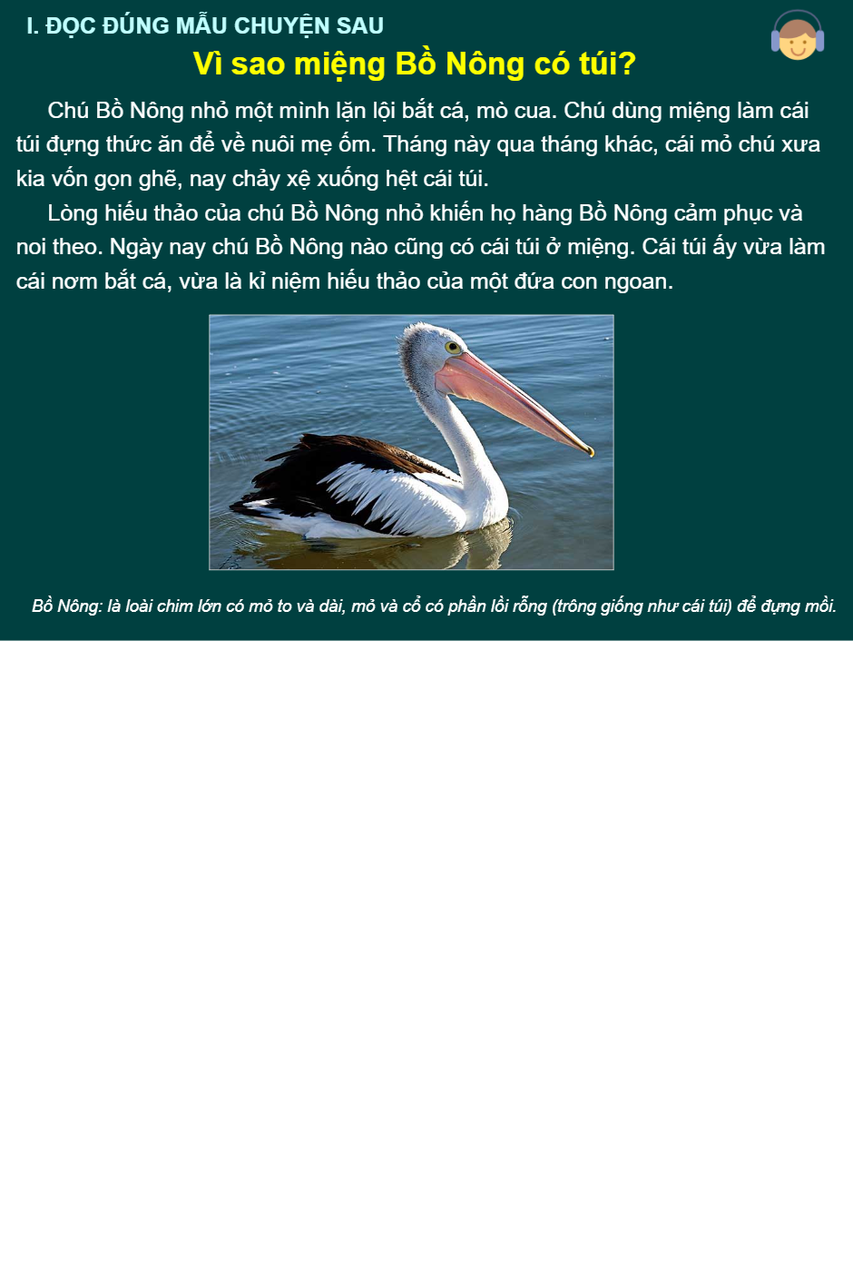 Vì sao miệng Bồ Nông có túi?