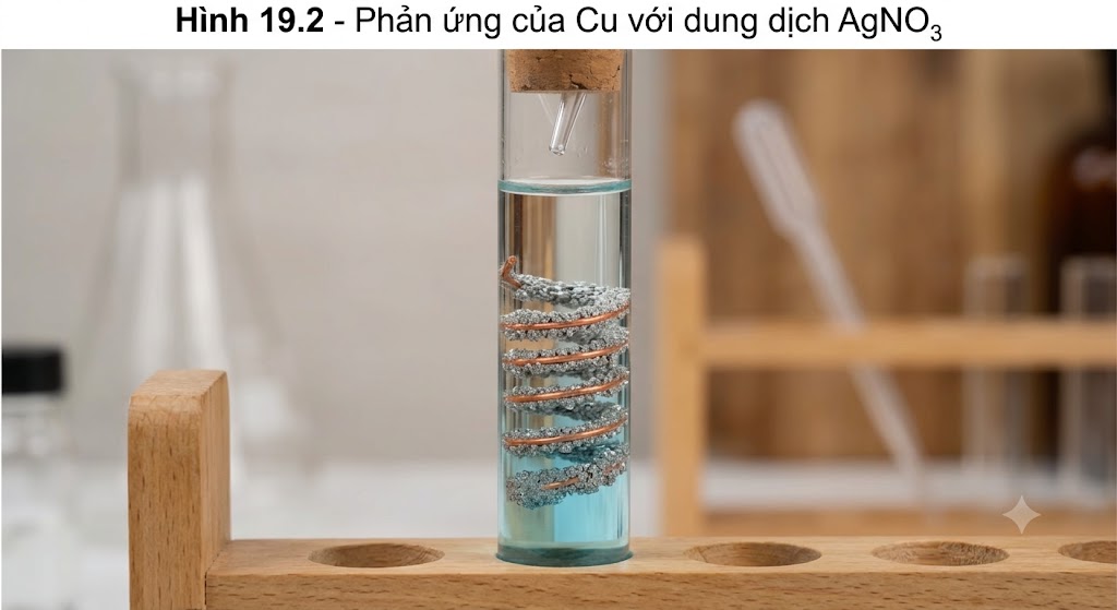 Phản ứng của Cu với dung dịch AgNO3