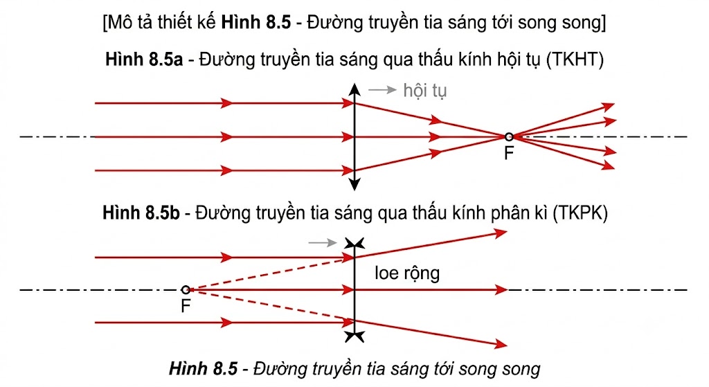 Hình 8.5 - Đường truyền tia sáng tới song song