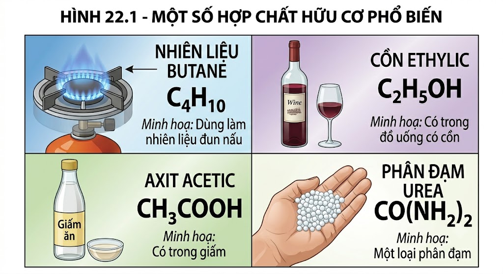 Hình 22.1 - Một số hợp chất hữu cơ phổ biến