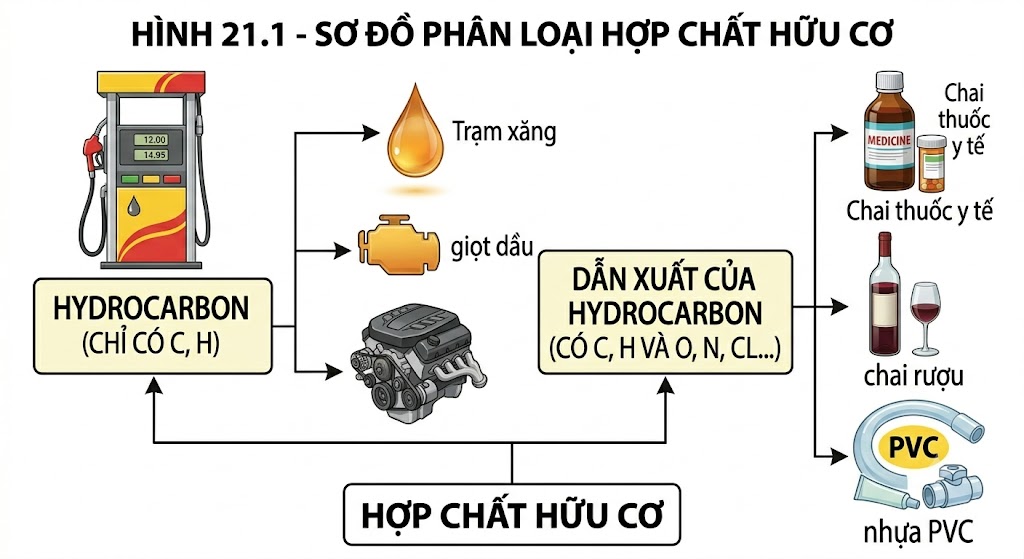 Phân loại hợp chất hữu cơ
