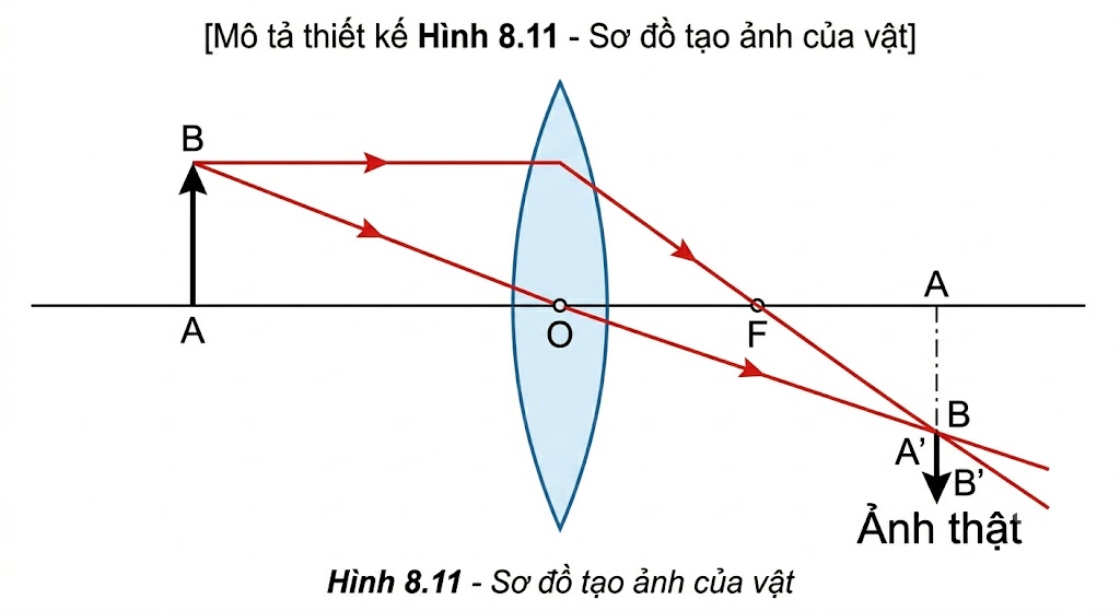 Hình 8.11 - Sơ đồ tạo ảnh của vật