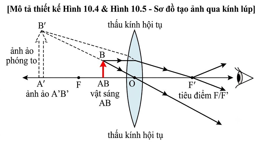 Hình 10.4 & Hình 10.5 - Sơ đồ tạo ảnh qua kính lúp