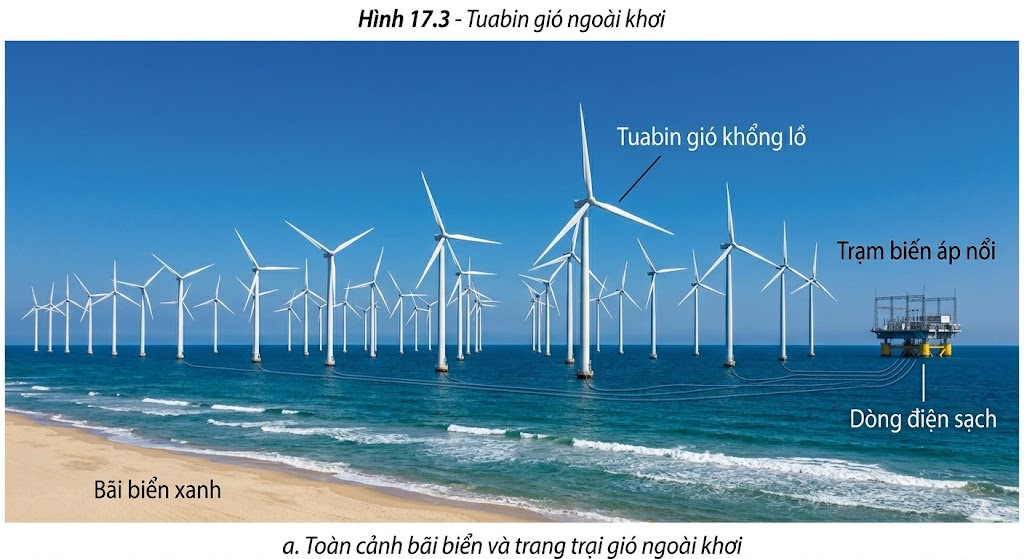 Tuapin gió ngoài biển