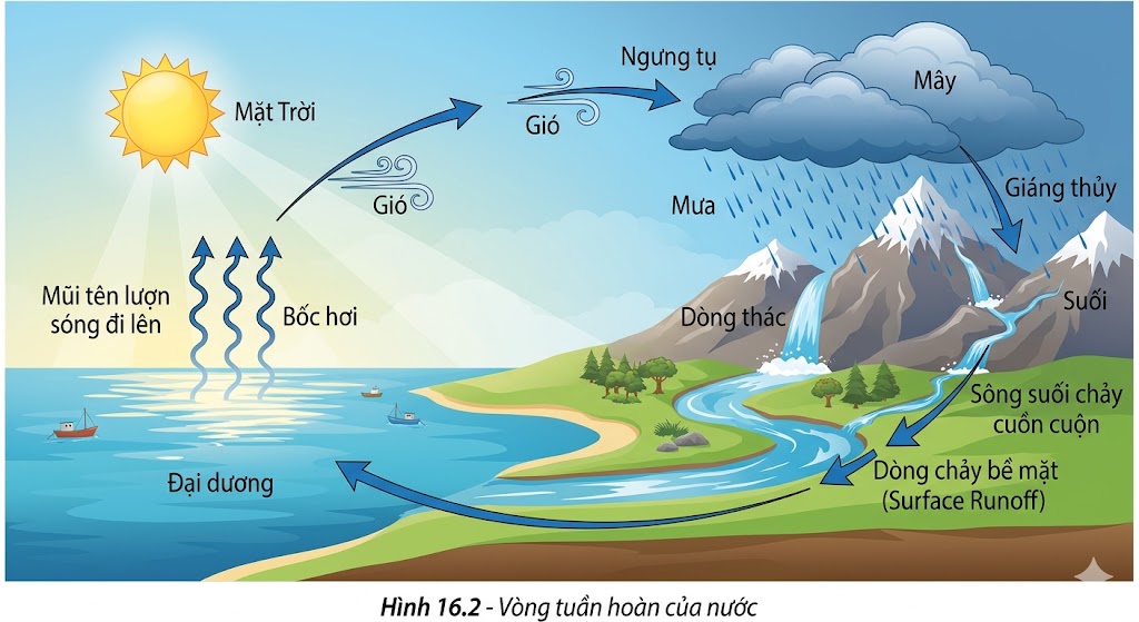 Vòng tuần hoàn của nước
